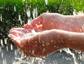 Wasser, Tropfen, Umwelt, Nachhaltigkeit